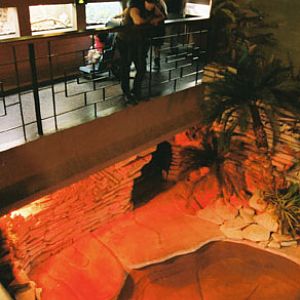 reptile house