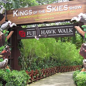 Kings of the Skies show