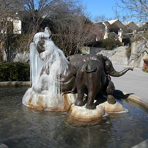 The great blizard of '10