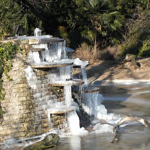 The great blizard of '10