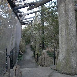 Forest Aviary