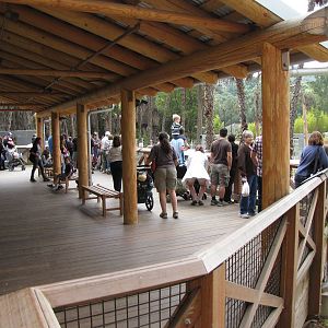 Elephants of Asia Cambodia Observation Deck