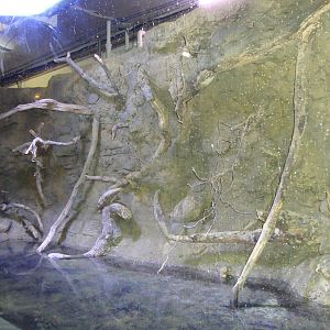 New themeing in Hall 1 of the aquarium