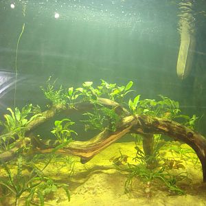 New themeing in Hall 1 of the aquarium