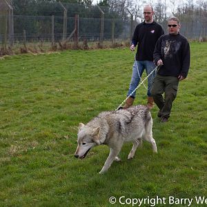 UK Wolf Conservation Trust