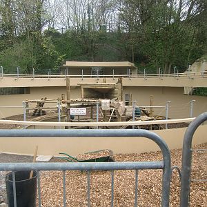 Work on the old Polar Bear Pit