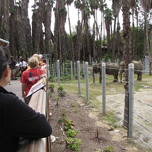 Elephants of Cambodia Observation Deck