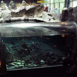 Strait Of Georgia Exhibit