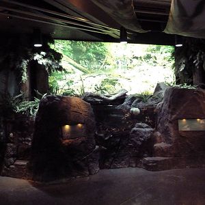 Clayoquot Sound Exhibit