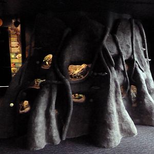 Amazon Gallery - Terrariums (New In 2011)