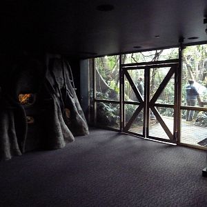 Amazon Gallery - Entrance