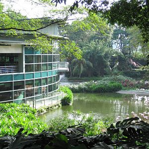 The Lodge on Flamingo Lake