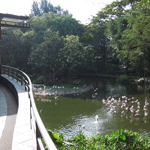 The Lodge on Flamingo Lake