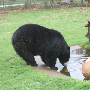Woburn Safari Park 2009-2010