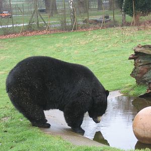 Woburn Safari Park 2009-2010