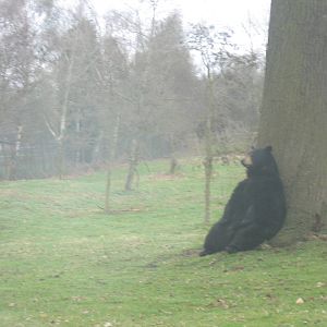 Woburn Safari Park 2009-2010