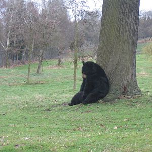 Woburn Safari Park 2009-2010