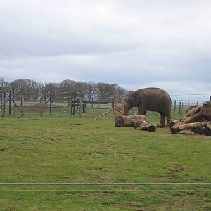 Woburn Safari Park 2009-2010