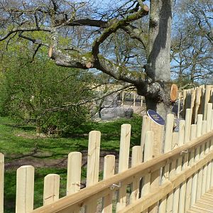Savannah Tracks - Boardwalk