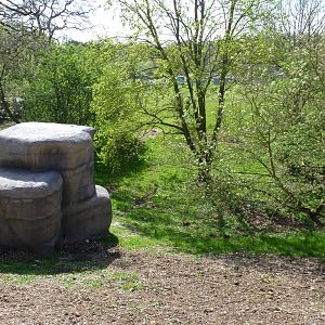 Savannah Tracks - Lower Enclosure