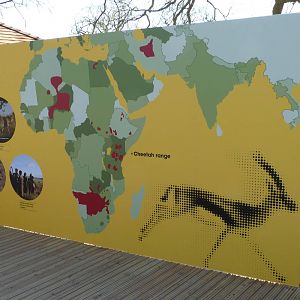 Savannah Tracks - Signage