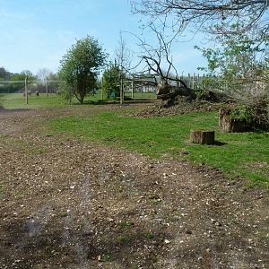 Savannah Tracks - Upper Enclosure