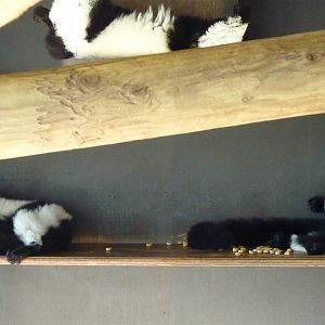 It was the Salmon Mousse!