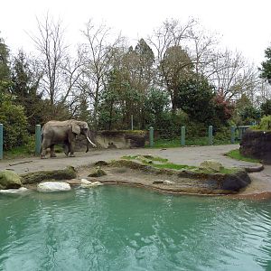 1.5 Acre Elephant Exhibit