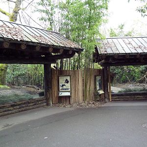 Malayan Tapir Exhibits - Viewing Windows