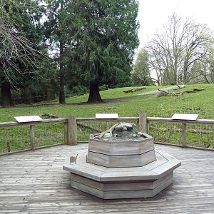 Elk Exhibit - Boardwalk Viewing Area