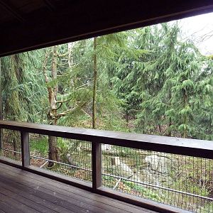 Steller's Sea Eagle Aviary