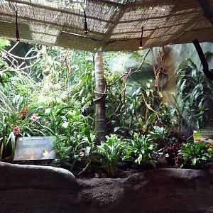 Troupial/Sunbittern Exhibit