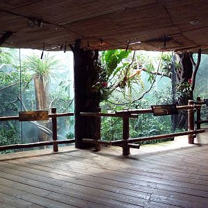 Tropical Rainforest Exhibits
