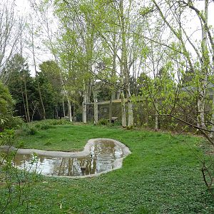 Hooded Crane Exhibit
