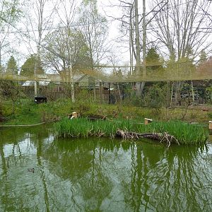 Walk-Through Waterfowl Aviary (13 Species)