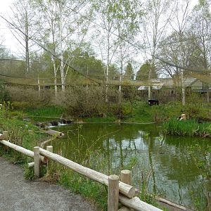 Walk-Through Waterfowl Aviary (13 Species)