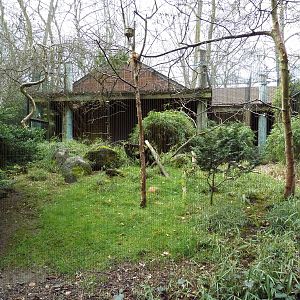Cabot's Tragopan/Black-Throated Laughing Thrush Exhibit