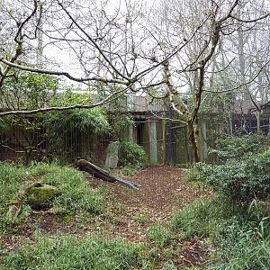 Malay Great Argus/Bali Mynah Exhibit