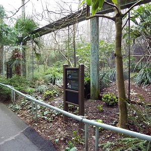 Conservation Aviaries