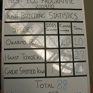 kiwi production sign