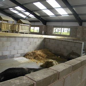 Inside the new Childrens Farm at Blackpool Zoo 10th April 2011