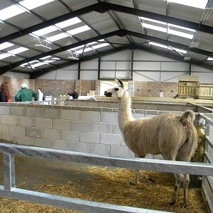 Inside the new Childrens Farm at Blackpool Zoo 10th April 2011