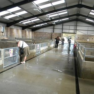 Inside the new Childrens Farm at Blackpool Zoo 10th April 2011