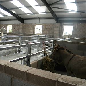 Inside the new Childrens Farm at Blackpool Zoo 10th April 2011
