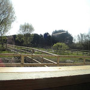 Future outdoor paddocks at Blackpool Zoo 10th April 2011