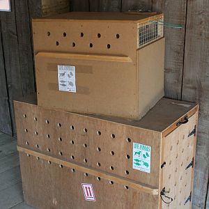 Transportation Crates