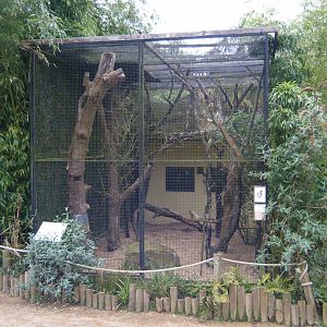 Echo Parakeet Aviary