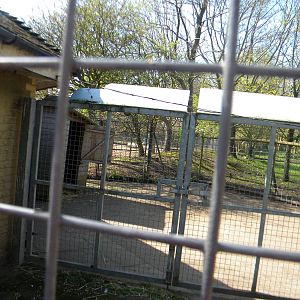 Agile Wallaby enclosure at Blackpool Zoo 10th April 2011