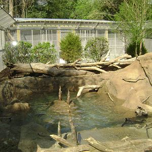 Charles Towne Landing - New Otter Exhibit