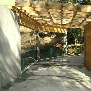 Charles Towne Landing - New Otter Exhibit